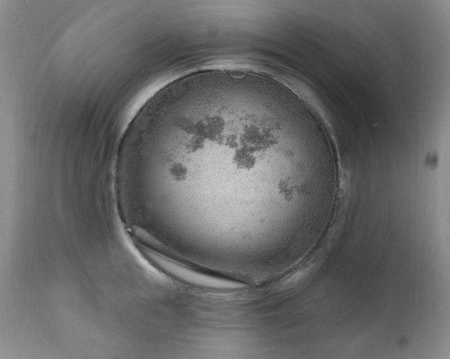X0000111040855200906251400