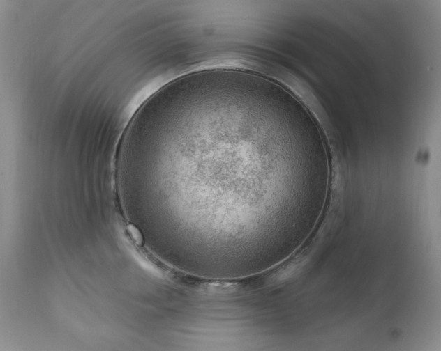 X0000111040858200906251400