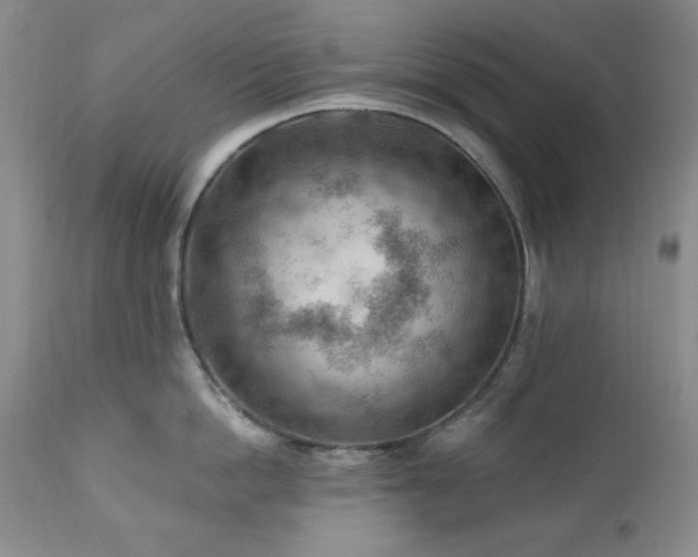 X0000111040862200906251400