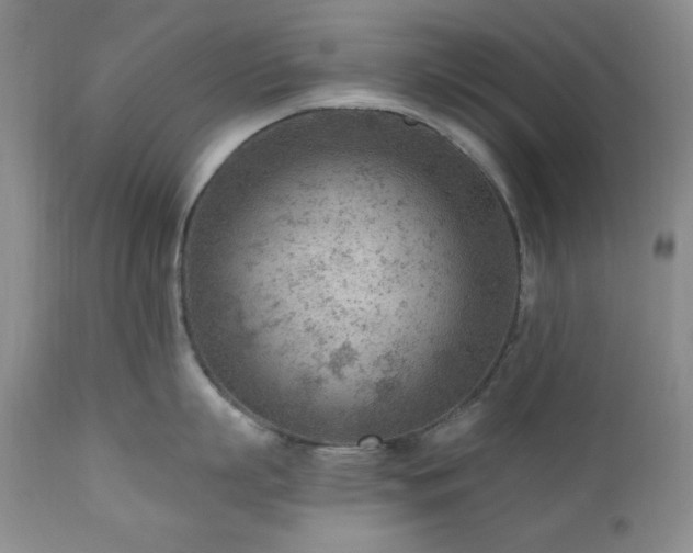 X0000111040863200906251400
