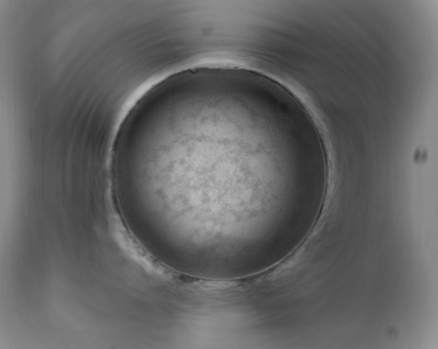 X0000111040864200906251400