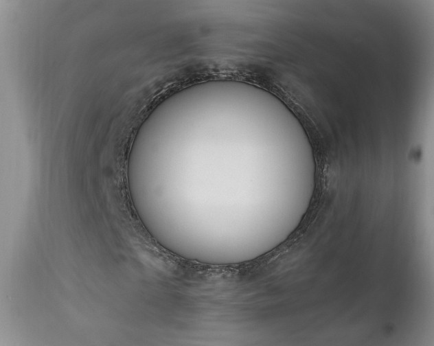 X0000111040865200906251359