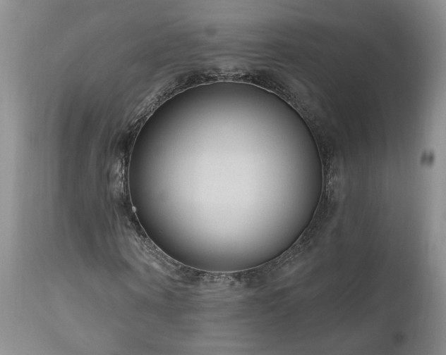 X0000111040866200906251359