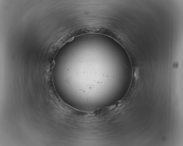 X0000111040867200906251359