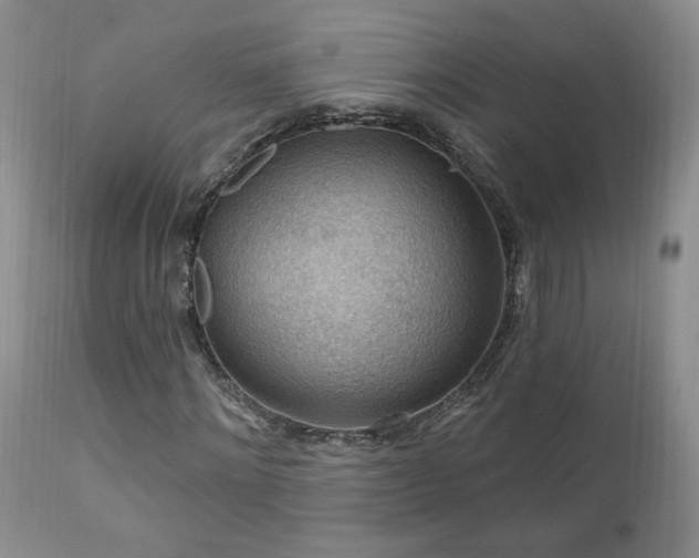 X0000111040868200906251359