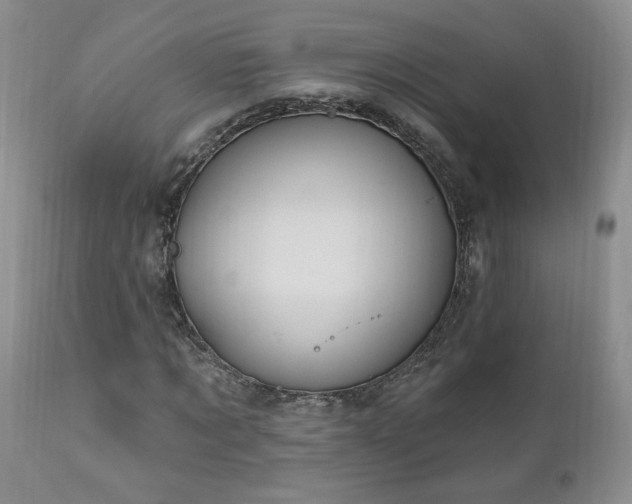 X0000111040869200906251359
