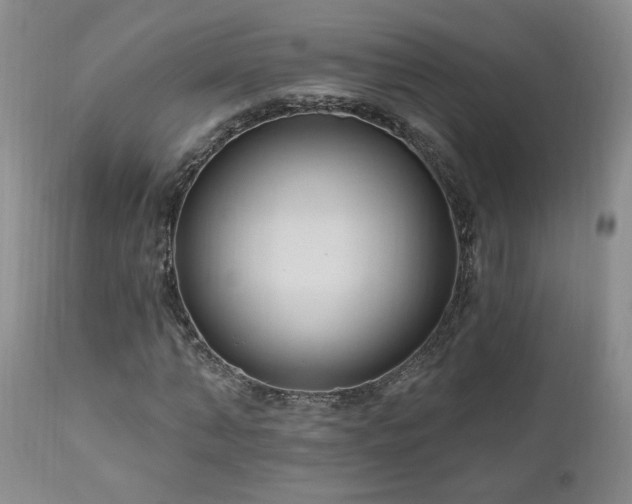 X0000111040870200906251359