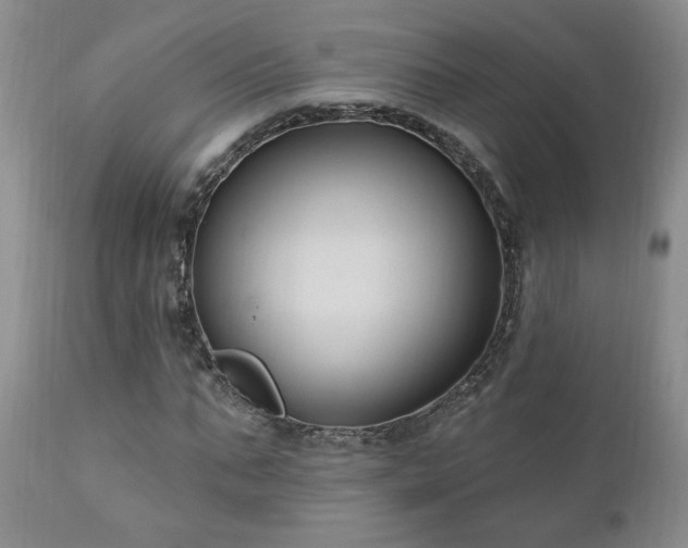 X0000111040871200906251359