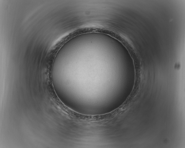 X0000111040872200906251359