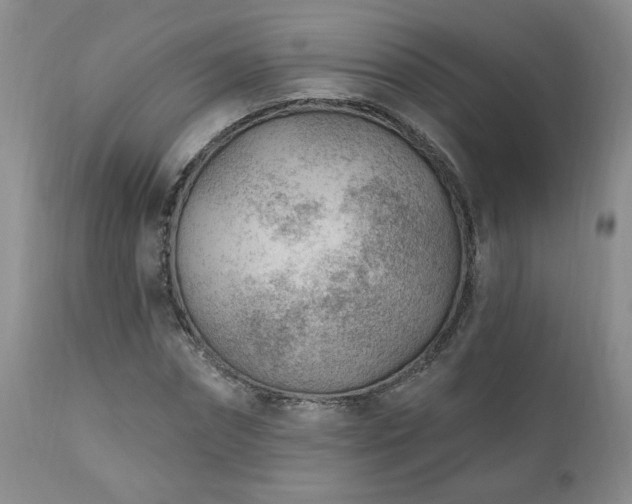 X0000111040874200906251359