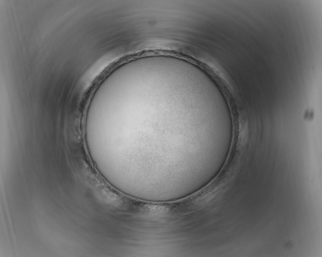 X0000111040878200906251359