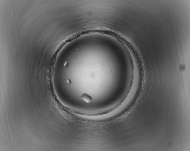 X0000111040881200906251359