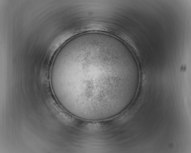 X0000111040882200906251359