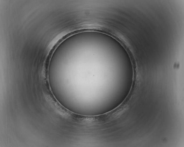X0000111040883200906251359