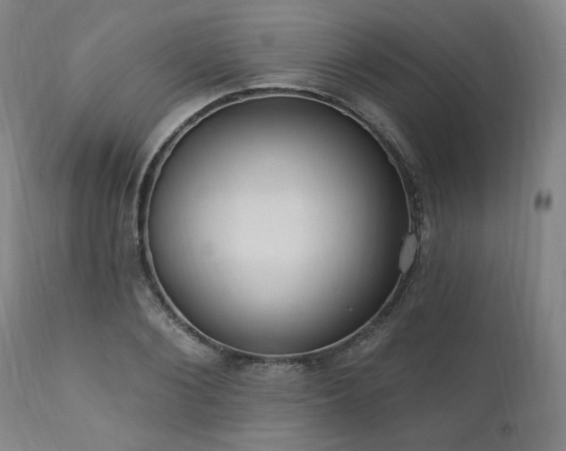 X0000111040884200906251359