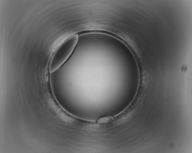 X0000111040885200906251359