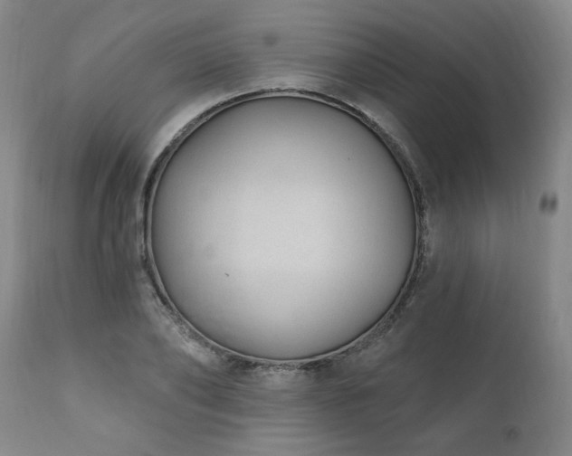 X0000111040886200906251359
