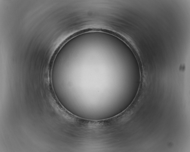 X0000111040887200906251359