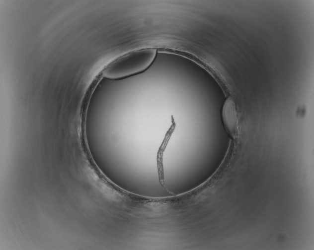 X0000111040888200906251359