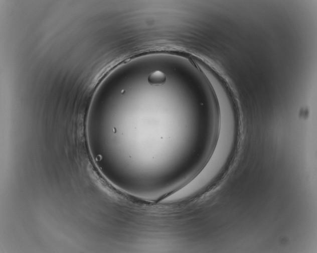 X0000111040889200906251359