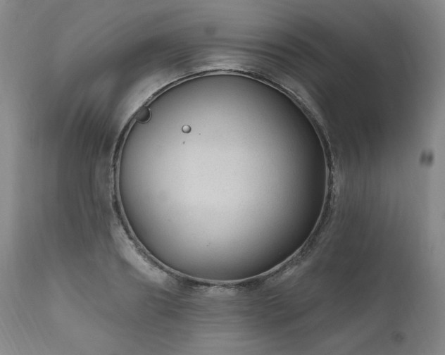X0000111040890200906251359