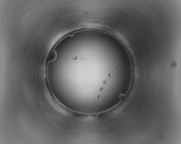 X0000111040891200906251359