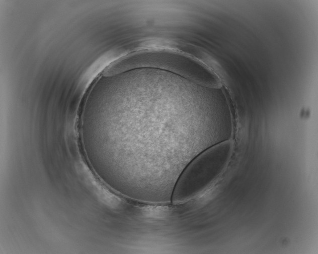 X0000111040893200906251359