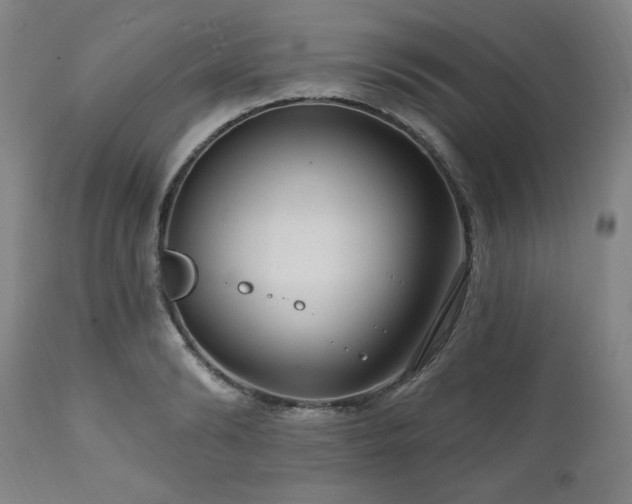 X0000111040894200906251359