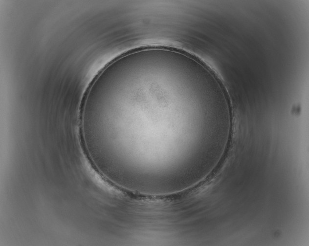 X0000111040895200906251359