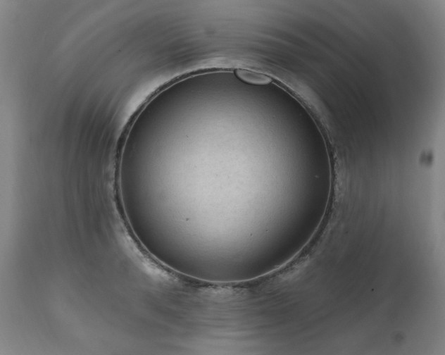 X0000111040896200906251359