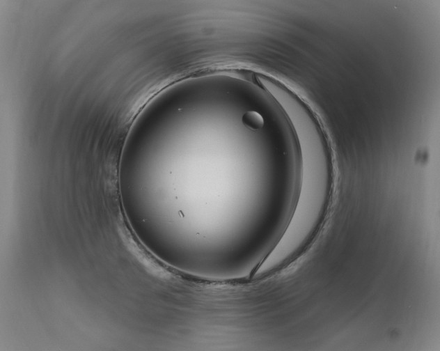 X0000111040897200906251359