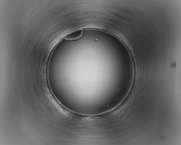 X0000111040898200906251359