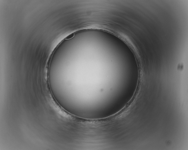 X0000111040900200906251359