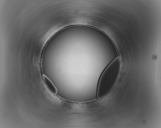 X0000111040901200906251359