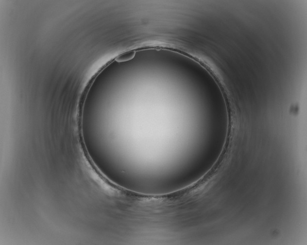 X0000111040902200906251359