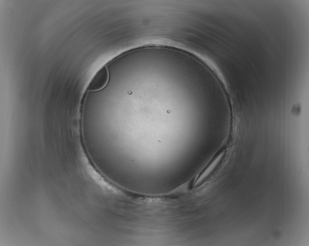 X0000111040903200906251359
