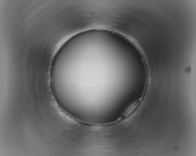 X0000111040904200906251359
