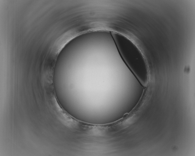 X0000111040905200906251359