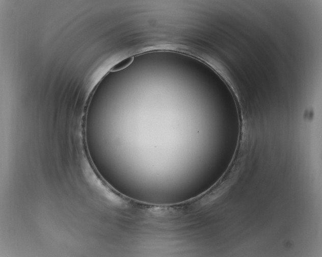 X0000111040906200906251359