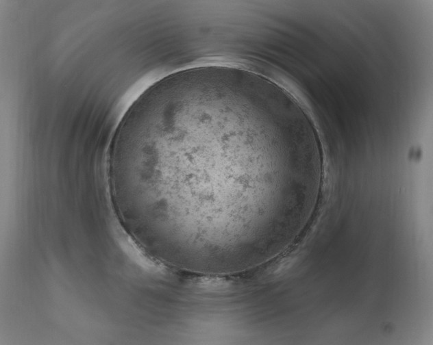 X0000111040907200906251359