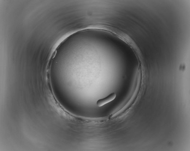 X0000111040908200906251359
