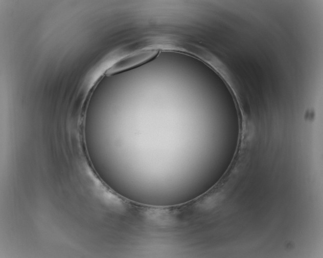 X0000111040909200906251359
