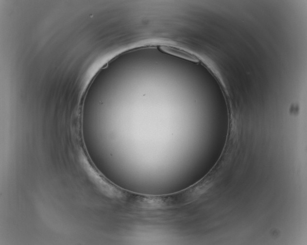 X0000111040911200906251359