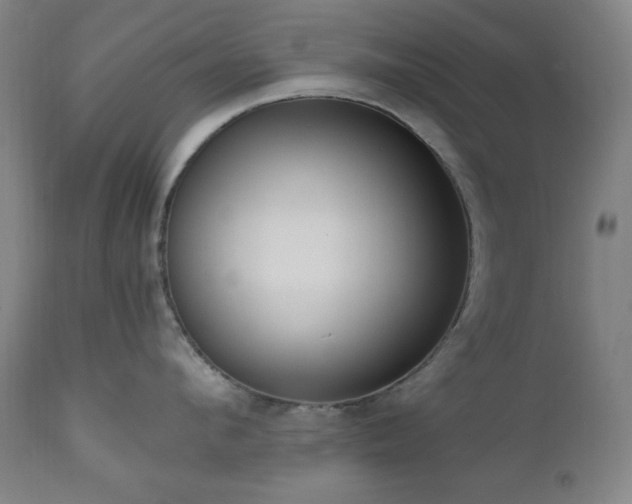 X0000111040912200906251359
