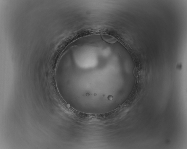 X0000111040913200906251358