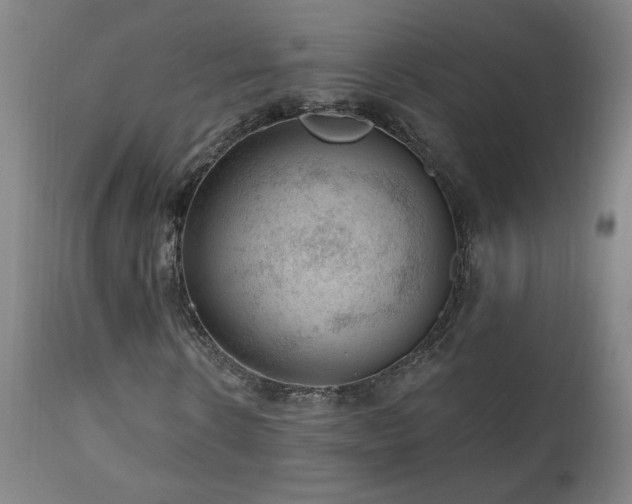 X0000111040914200906251358