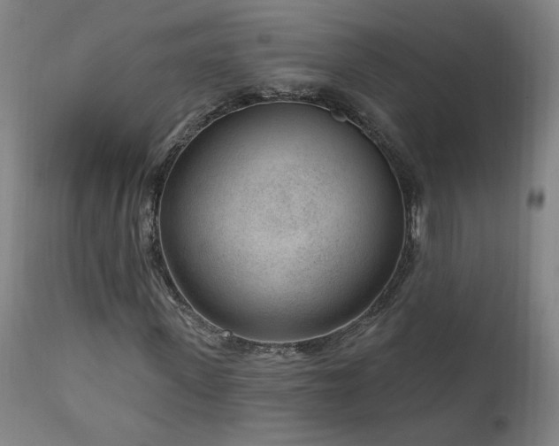 X0000111040915200906251358
