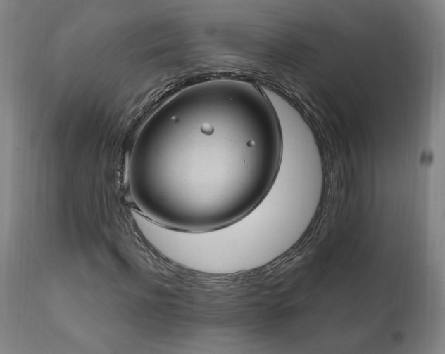 X0000111040916200906251358