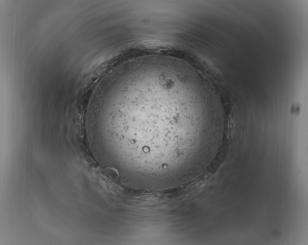 X0000111040917200906251358