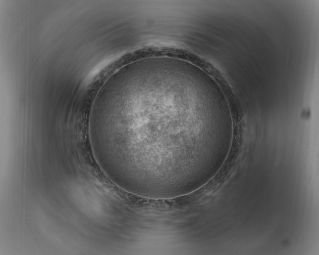 X0000111040919200906251358